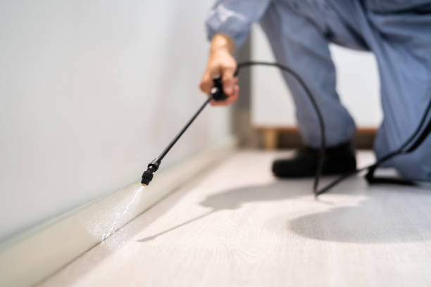 Licensed Termite Control service in Richland County County, OH - Nex Pest Control