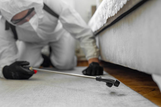 Professional Termite Control technician working in Richland County County, OH
